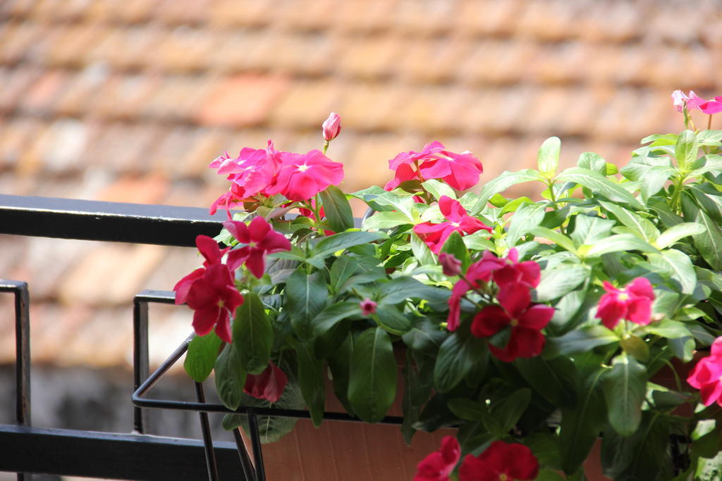 B&B Casa Venezia Bernalda Cameră foto